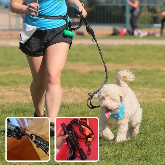 Laisse canicross Système mains libres: permet de courir ou marcher en toute liberté sans tenir la laisse dans les mains