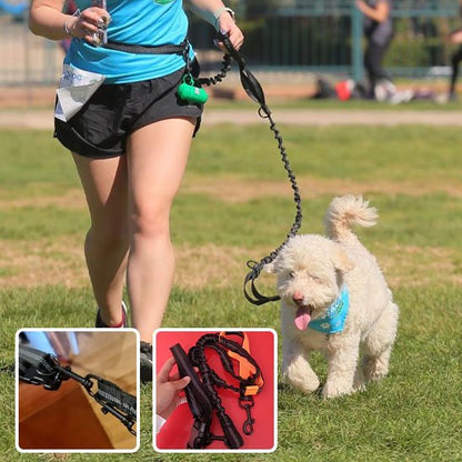 Laisse canicross Système mains libres: permet de courir ou marcher en toute liberté sans tenir la laisse dans les mains