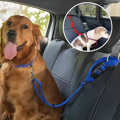 Laisse chien Attache universelle clip métallique robuste compatible