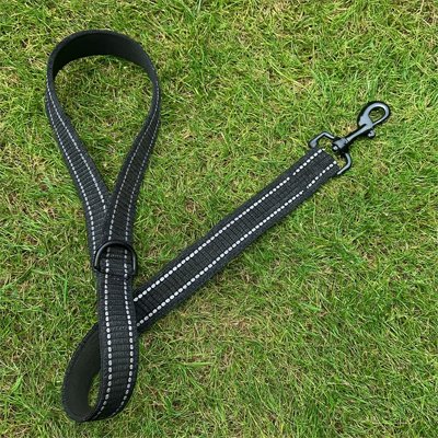 Laisse chien conçu en nylon haute densité pour une durabilité maximale