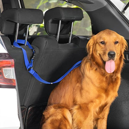 Laisse chien confort optimal s`adapte a tout les chiens