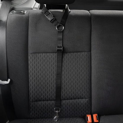Laisse chien Discret et compact 