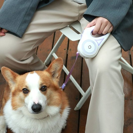 Laisse chien enrouleur Esthétique contemporaine avec finitions bicolores et lignes épurées