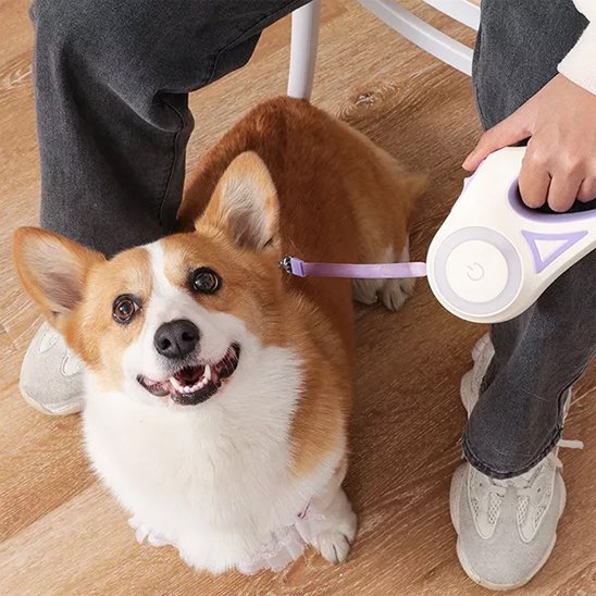 Laisse chien enrouleur Poignée ergonomique d'appui confortables prise en main prolongée sans fatigue