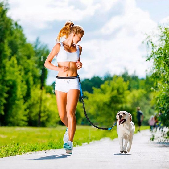 Laisse chien main libre fixations métalliques robustes sécurité renforcée