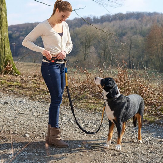 Laisse chien main libre Système mains libres