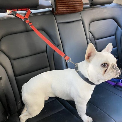 Laisse chien Multi-tailles convient aux petites, moyennes et grandes races grâce au système réglable