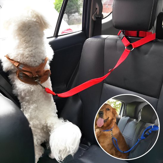 Laisse chien Protection du conducteur empêche l'animal de sauter vers l'avant