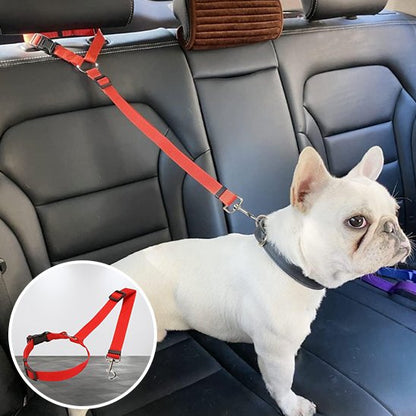 Laisse chien Sécurité renforcée