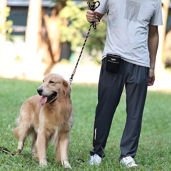 Laisse chien raillé