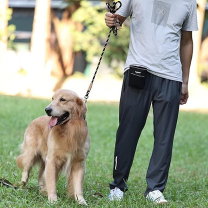Laisse chien raillé