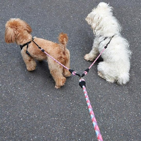 Laisse double pour chien attaches rotatives à 360 degrés évitant l'emmêlement des laisses pendant la marche