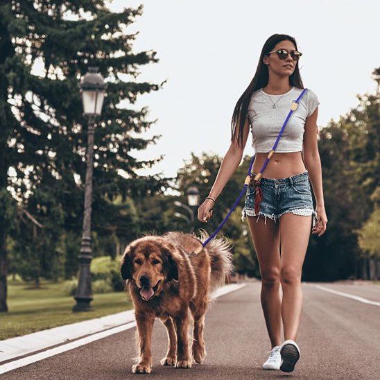Laisse double pour chien convient en ville dans les espaces naturels