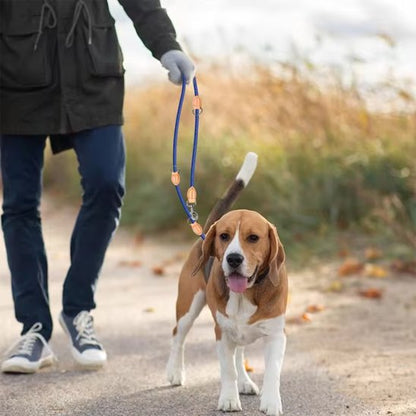 Laisse double pour chien évitent l'emmêlement des laisses lors des mouvements croisés des animaux