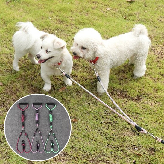 Laisse double pour chien laisse les mains libres tout en gardant le contrôle des deux animaux