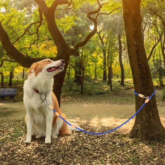 Laisse double pour chien Matériau résistant supporter la traction de deux chiens