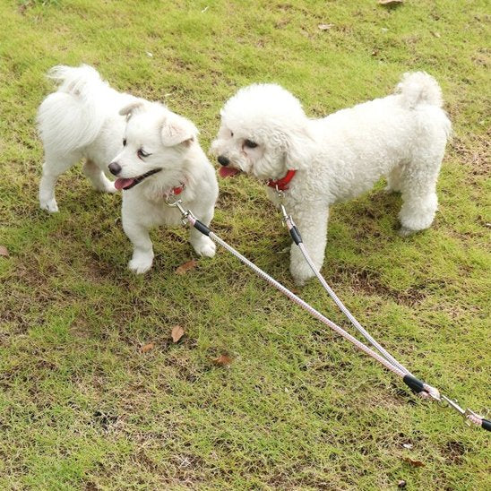 Laisse double pour chien Matériaux résistants