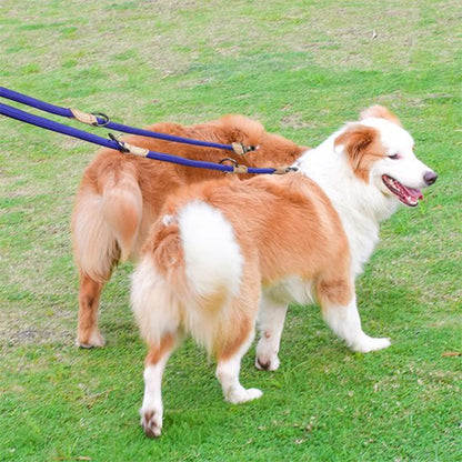 Laisse double pour chien permet de promener deux chiens simultanément avec une seule poignée
