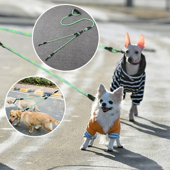 Laisse double pour chien Système en Y permet de promener deux chiens simultanément avec une seule poignée