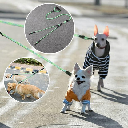 Laisse double pour chien Système en Y permet de promener deux chiens simultanément avec une seule poignée