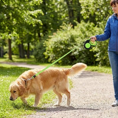 Laisse enrouleur pour chien cordon solide et durable supportant les tractions et mouvements du chien en toute sécurité