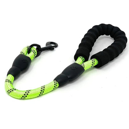 Laisse petite pour l'entrainement et confortable pour vous a la main et pour bien garde notre chien proche de nous. - WOOF TOUT