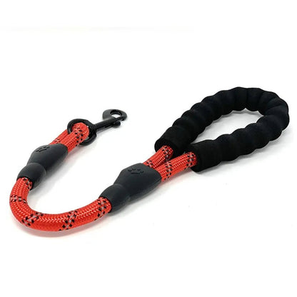 Laisse petite pour l'entrainement et confortable pour vous a la main et pour bien garde notre chien proche de nous. - WOOF TOUT