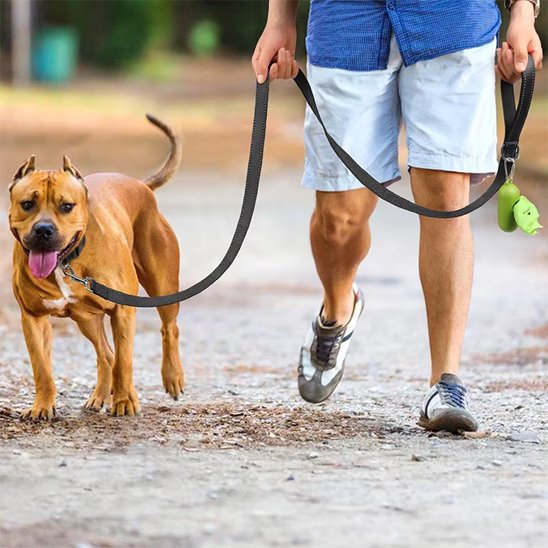 Laisse pour chien Conception confortable prise en main prolongée sans fatigue