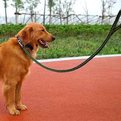 Laisse pour Chien Dimension optimale en laissant une liberté de mouvement au chien