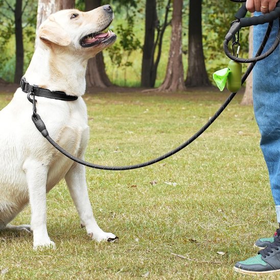 Laisse pour chien Disponible en plusieurs coloris