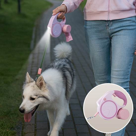 laisse pour chien lumiere