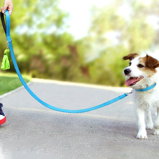 Laisse pour chien Matériau lavable qui conserve sa solidité après nettoyage