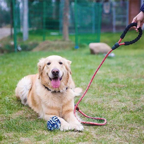 Laisse pour chien Matériau résistant en nylon tressé