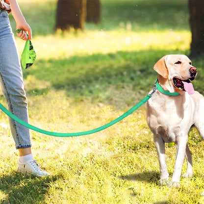 Laisse pour chien Matériau résistant Fabrication en nylon robuste