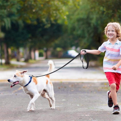 Laisse pour chien Permet une distance de contrôle optimale entre le maître et l'animal lors des promenades