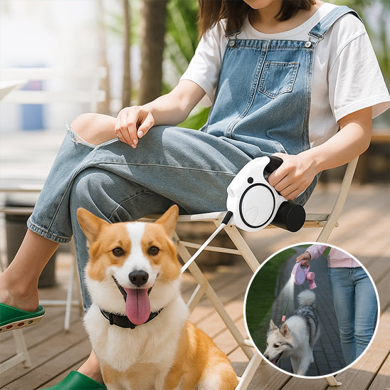laisse pour chien retractable