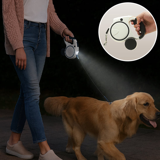 laisse pour chien sac crotte