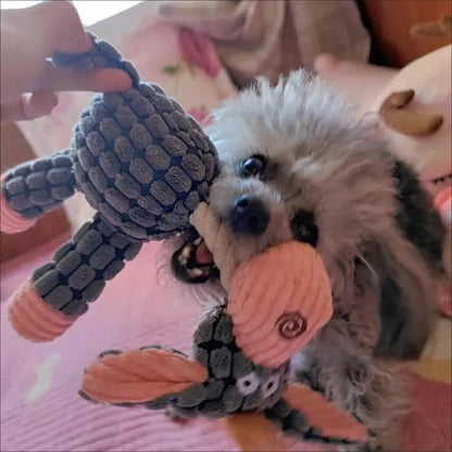 Les chiens aimes les toutous corde dur qui lui ressembles et qui tiens a leur mâchoir. - WOOF TOUT