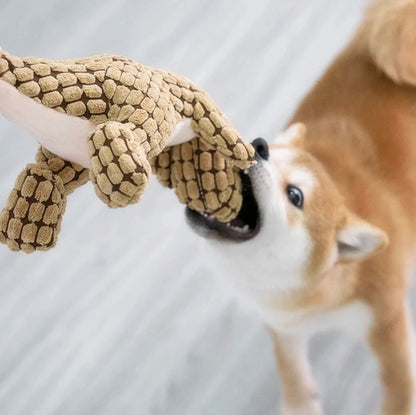 les dinosaures interactive avec les petits chiens. - WOOF TOUT