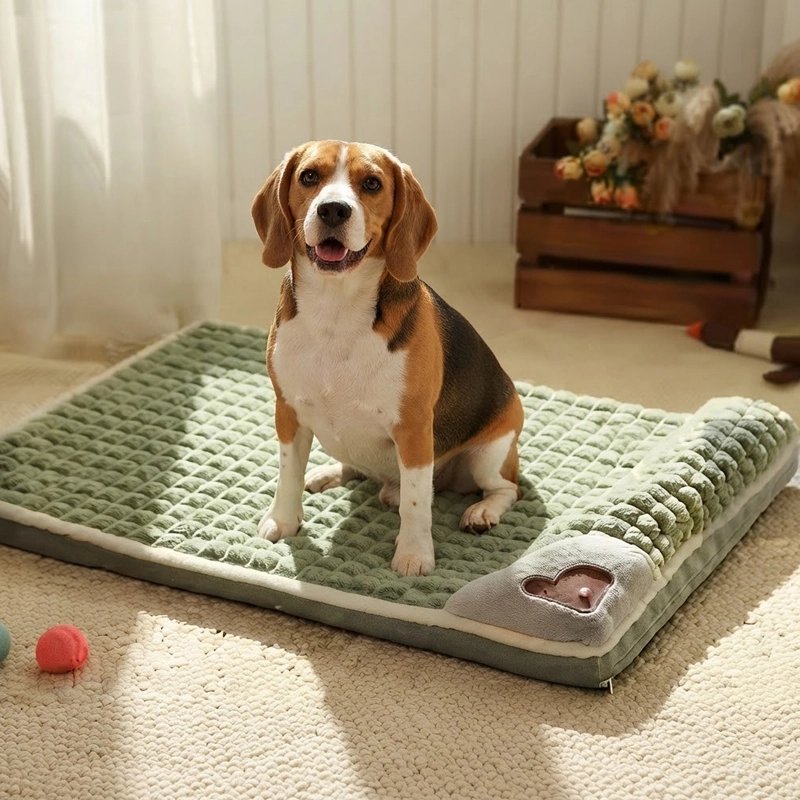 Lit pour Chien Structure en carrés cousus offrant un soutien moelleux et confortable pour le repos de l'animal