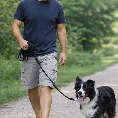 Longe pour Chien Assure une prise en main confortable prolongées