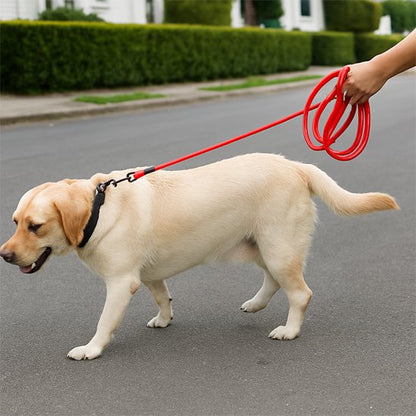 Longe pour chien résiste à l'humidité, la boue et se nettoie facilement 
