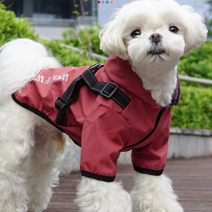 Manteau a épreuve de l 'eau pour la promenade et en évitant que le chien viens trop tremper. - WOOF TOUT