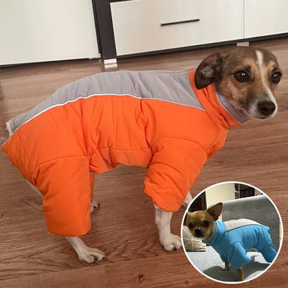 Manteau chien avec collet