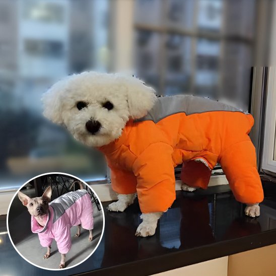 Manteau chien disponible toute tailles