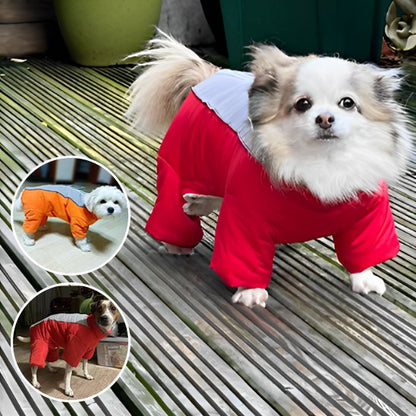 Manteau chien Doté d`un anneau en metal