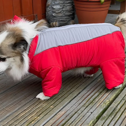 Manteau chien facilité de marche confortable pour hiver