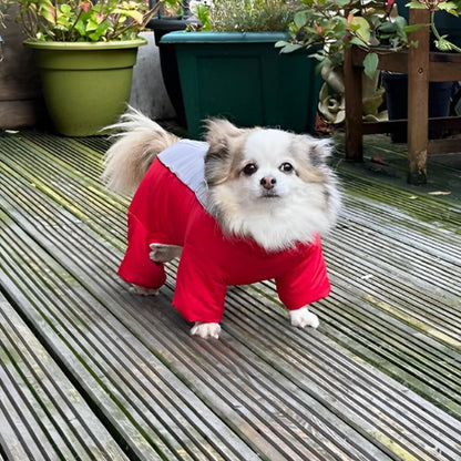 Manteau chien fait en polyester