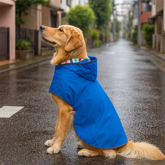 Manteau chien Imperméabilité: Protection efficace contre la pluie et l'humidité pour garder votre animal au sec
