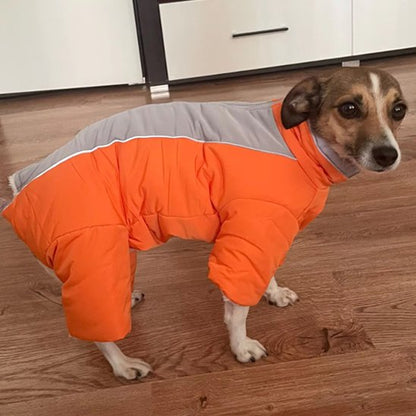 Manteau chien Imperméable et chaud